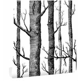 Papel Tapiz - 17.7  X 394  Birch Tree Wallpaper Black And Wh