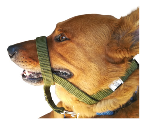 Collar Halti Anti Tirones Perros Mega Tienda Adiestramiento