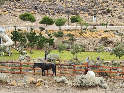 Terreno En Venta Barrio Cerrado Chacras Del Faro