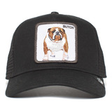 Gorra Goorin Bros Butch Pitbull Perro - Original