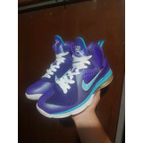 Lebron James Ix  Summit Lake Hornets Edition  