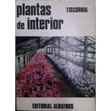 7101 Plantas De Interior - Tiscornia