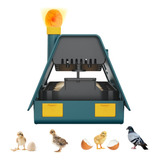 Incubadora Automática De Aves Corral,capacidad Para 10huevos