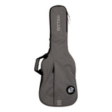 Funda Para Guitarra Ritter Mod. Rgc3-d/egr Color Gris