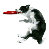 Juguete Frisbee Pequeño Para Mascotas Ø18cm