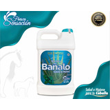 Shampoo Para Caballo Sábila/menta 10l Equinotec