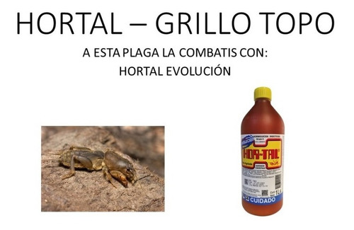 Grillo Topo, Insecticida Hortal Líquido Por 1 Litro