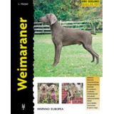 Weimaraner - Harper, Lavonia