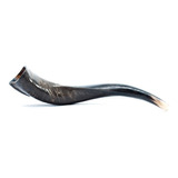 Shofar De Antilope/yemenita De Hasta 50 Cm Con Atril Ymanual