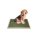 Paño Pet Bandeja Sanitaria Carpet Mini