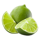 Limón Persa Injerto, Rápida Fructificacion