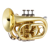 Paño De Limpieza Para Bolsillo Pocket Trumpet Mini Brass Bb