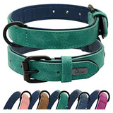 Didog Collar De Perro De Cuero Acolchado Suave, Cuero De Col