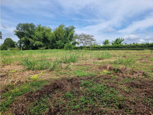 Lote Campestre Para La Venta Vía Caimo Aeropuerto - Imagen 3