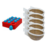 Ovo Indez Com Bandeja N1 Azul + 5 Ninho Coleiro Plástico
