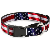 Buckledown Bandera Americana Vivido Primer Plano Martingale