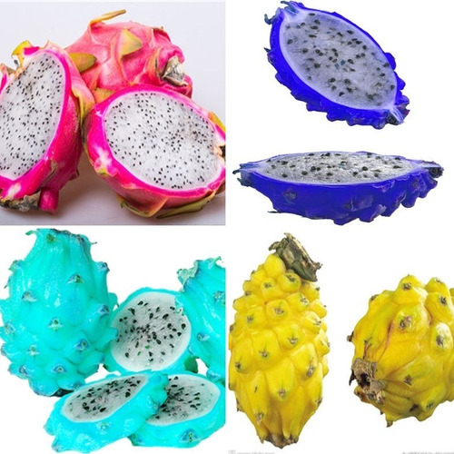 Semillas De Fruta Del Dragón Pitahaya Pitaya Mix Colores