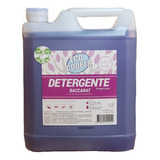 Detergente Hipoalergenico, Premium 5 Lts