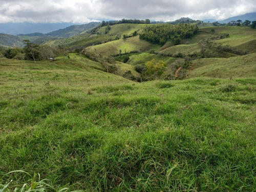  Finca Ganadera 85 Plazas En Restrepo Valle