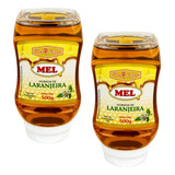 Kit 2 Mel Puro Florada Laranjeira 500g Bisnaga Flora Néctar