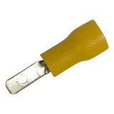 Terminal Macho Paleta Amarillo