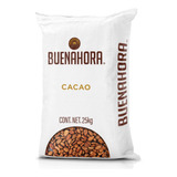 Semilla De Cacao Granos Crudo Chiapaneco Buenahora 25kg