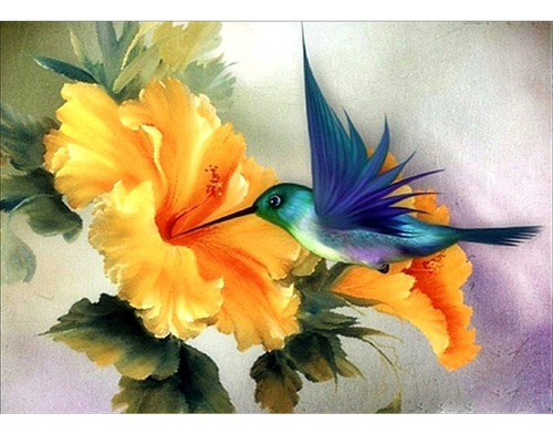 Diy Bordado Diamante Pintura Colibrí En Flor 20x30