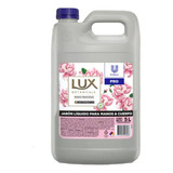 Jabon Liquido Para Manos Y Cuerpo Lux 5l Rosas Francesas