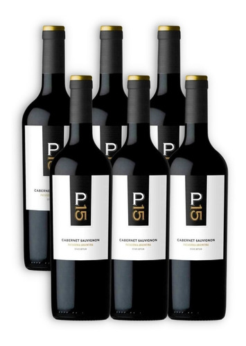 P15 Vino Cabernet Sauvignon X6u 750ml Bodega Malma Neuquén