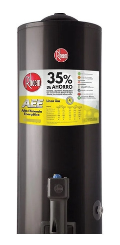 Termotanque Rheem 80 Litros Gas De Pie Tgnp080rh