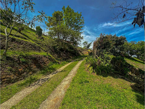 Vendo Finca En Ríonegro 4.150 Metros Ch - Imagen 3