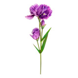 Orquídea De Flor Artificial Decoración Realista