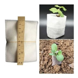 100 Bolsas Ecológicas Para Plantas (8x10cm)