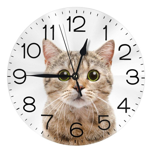 Reloj De Pared Gato Escocés Gatito Divertido Silencios...