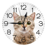 Reloj De Pared Gato Escocés Gatito Divertido Silencios...