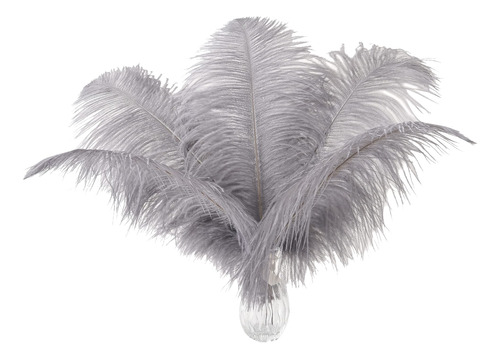 Ballinger Plumas De Avestruz Gris Natural, 24 Piezas De 10 A