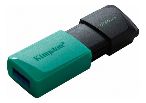 Memoria Flash Kingston  Usb 3.2 Gen1 Exodia Dtxm/256gb