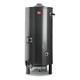 Termotanque Rheem Comercial Rhctp300l Negro 300l