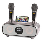 Altavoz Karaoke Dlara Sd-316 Con Microfonos Y Portacelular