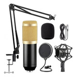 Kit Bm 800 Microfone Condensador Profissional Ejz Com Braço Articulado Cor Preto/dourado