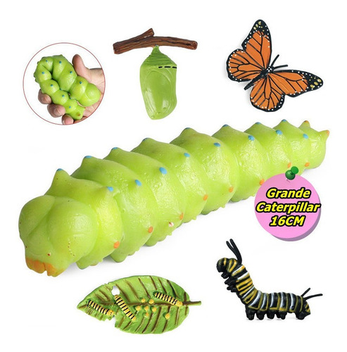 Insecto Animal Crecer Ciclo-juego De 5 Juguetes De Mariposa