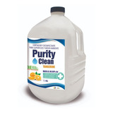 Sanitizante Liquido Sales Cuaternarias 4 L Purity Clean 
