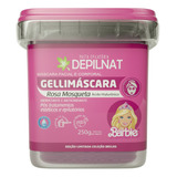 Gellimáscara Rosa Mosqueta Ácido Hialurônico Depilnat - 250g