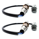 Sensor Oxigeno Universal De 4 Cables 11959
