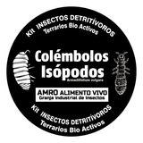 Cultivo De Colembolos E Isopodos Para Terrarios Bio Activos 