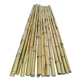 45 Varas De Bambú Natural Decoracion 1.5m / 2-3cm Grosor