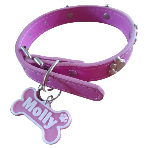 Collar Con Placa Personalizada Para Mascota Para Raza Chica