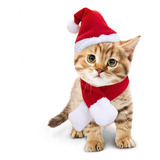 2 Piezas De Ropa De Navidad Para Mascotas Perro Y Gato Rojo