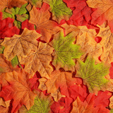  Situmeizi Folhas De Outono Decoração Falsa De Outono Para C