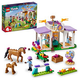 Juguete De Construcción Para Niños Pequeños Lego Friends Hor